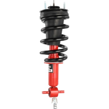 Suspension Strut and Coil Spring Assembly