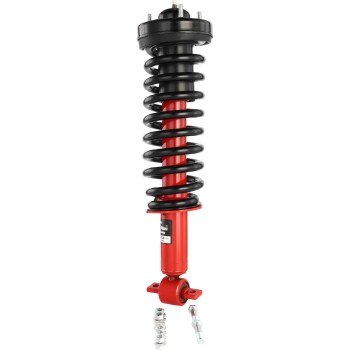 Suspension Strut and Coil Spring Assembly
