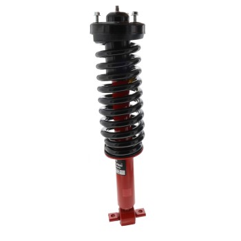 Suspension Strut and Coil Spring Assembly