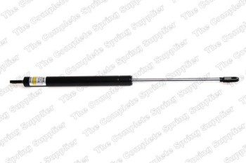 Tailgate Lift Support