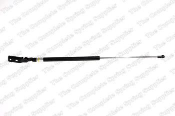 Tailgate Lift Support