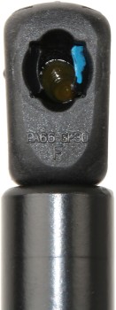 Tailgate Lift Support