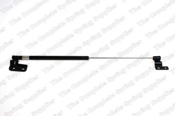 Tailgate Lift Support