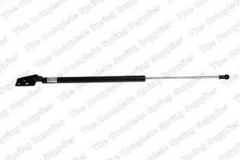 Tailgate Lift Support