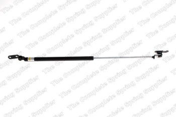 Tailgate Lift Support