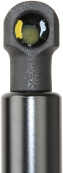 Tailgate Lift Support