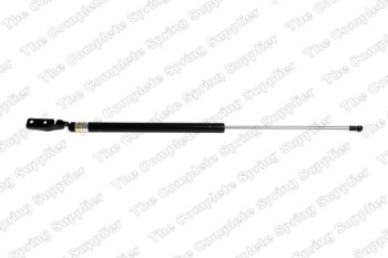 Tailgate Lift Support