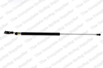 Tailgate Lift Support