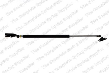 Tailgate Lift Support