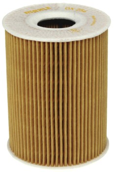 Engine Oil Filter