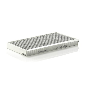 Cabin Air Filter