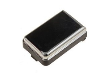 Interior Door Pull Strap