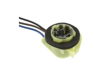 Brake Light Socket