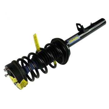 Suspension Strut and Coil Spring Assembly