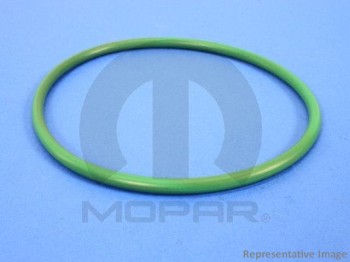 Fuel Pump and Level Sensor Module Seal