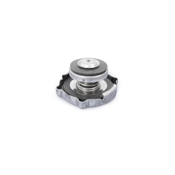 Radiator Cap