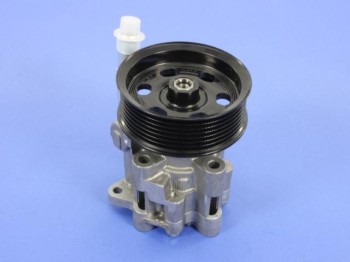 Power Steering Pump Complete Kit