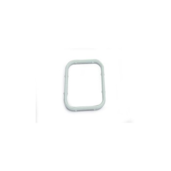 Engine Air Intake Seal