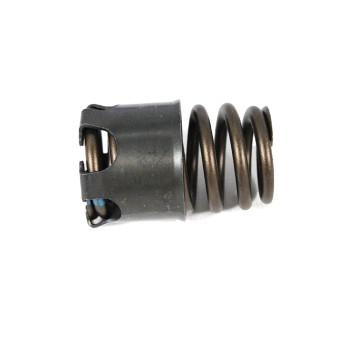 Engine Valve Spring