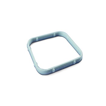 Engine Air Intake Seal