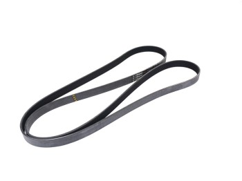 Accessory Drive Belt