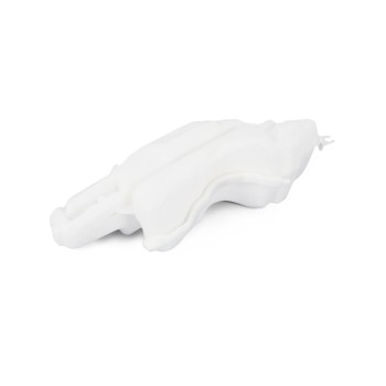 Engine Coolant Reservoir