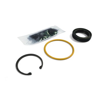 Steering Gear Pitman Shaft Seal Kit