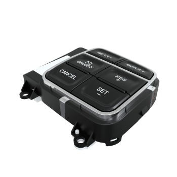 Cruise Control Switch