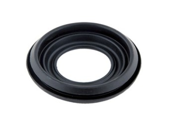 Fuel Filler Neck Seal