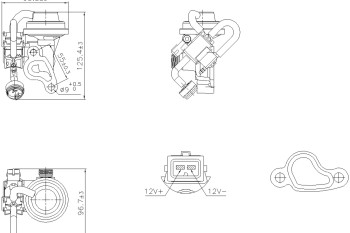 Exhaust Gas Recirculation (EGR) Valve