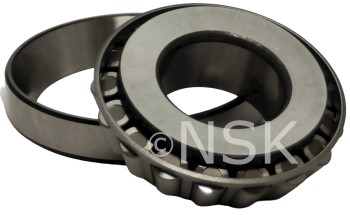 Differential Pinion Bearing