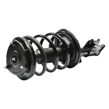 Suspension Strut and Coil Spring Assembly