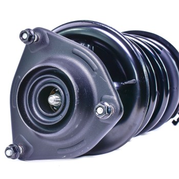 Suspension Strut and Coil Spring Assembly