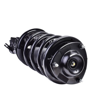 Suspension Strut and Coil Spring Assembly