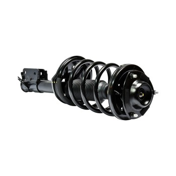 Suspension Strut and Coil Spring Assembly