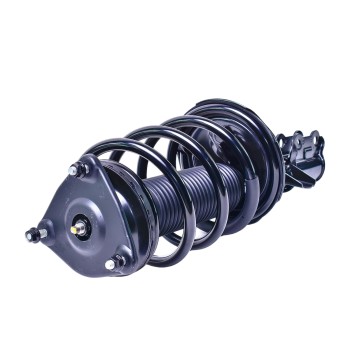 Suspension Strut and Coil Spring Assembly