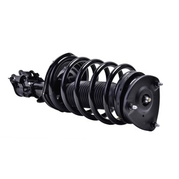 Suspension Strut and Coil Spring Assembly