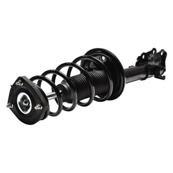 Suspension Strut and Coil Spring Assembly