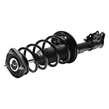 Suspension Strut and Coil Spring Assembly