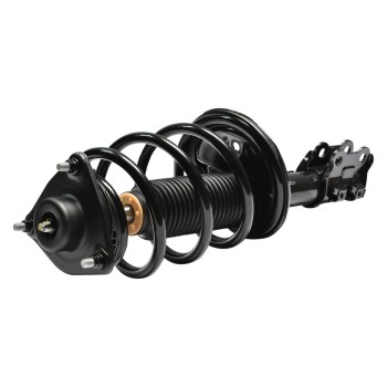 Suspension Strut and Coil Spring Assembly