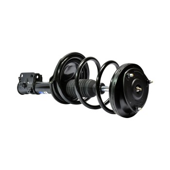 Suspension Strut and Coil Spring Assembly