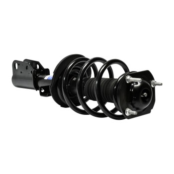 Suspension Strut and Coil Spring Assembly