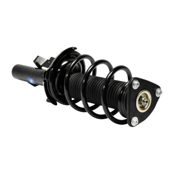 Suspension Strut and Coil Spring Assembly