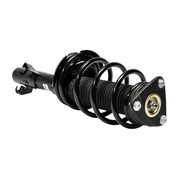 Suspension Strut and Coil Spring Assembly