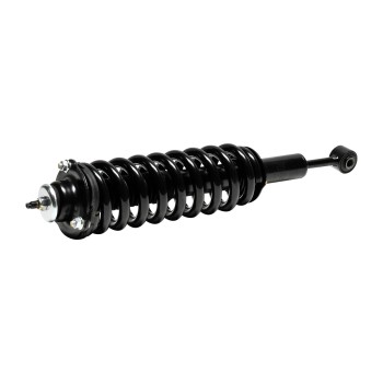 Suspension Strut and Coil Spring Assembly