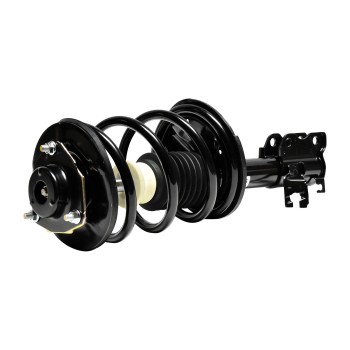 Suspension Strut and Coil Spring Assembly