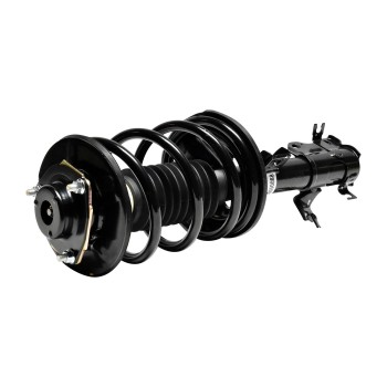 Suspension Strut and Coil Spring Assembly