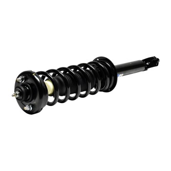 Suspension Strut and Coil Spring Assembly