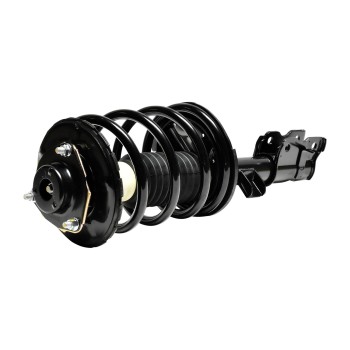Suspension Strut and Coil Spring Assembly