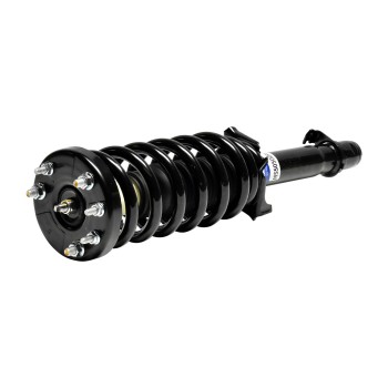 Suspension Strut and Coil Spring Assembly